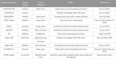 Role of LGMN in tumor development and its progression and connection with the tumor microenvironment